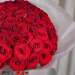 51 красная роза 40 см в матовой упаковке