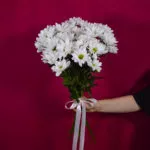 5 кустовых хризантем ромашковидных