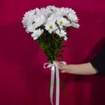 5 кустовых хризантем ромашковидных