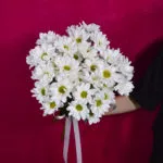 5 кустовых хризантем ромашковидных