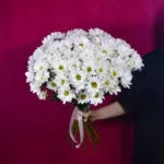 11 кустовых хризантем ромашковидных
