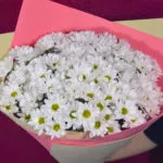 Букет из 11 ромашковидных хризантем в упаковке