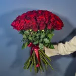 51 красная роза Эквадор