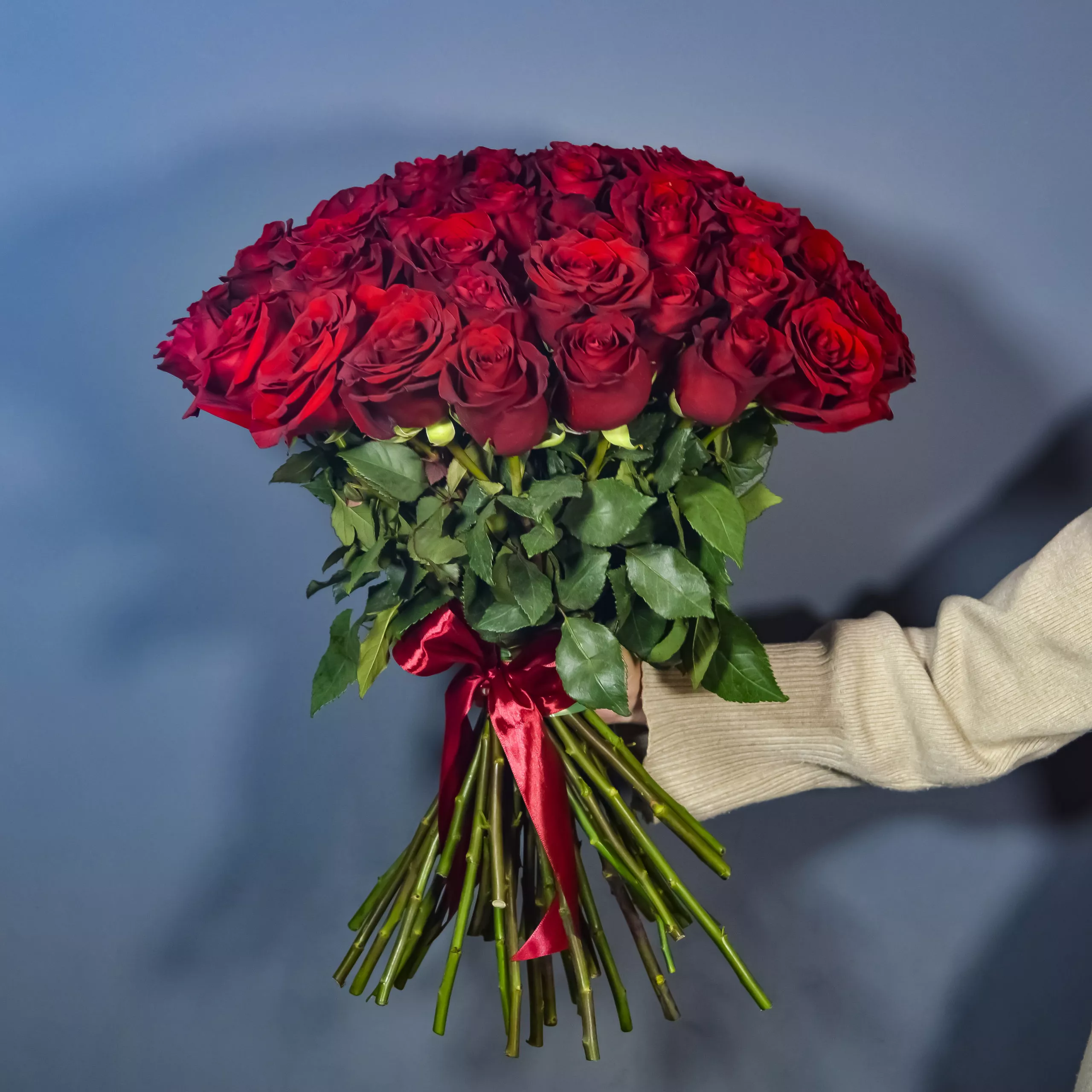 51 красная роза Эквадор