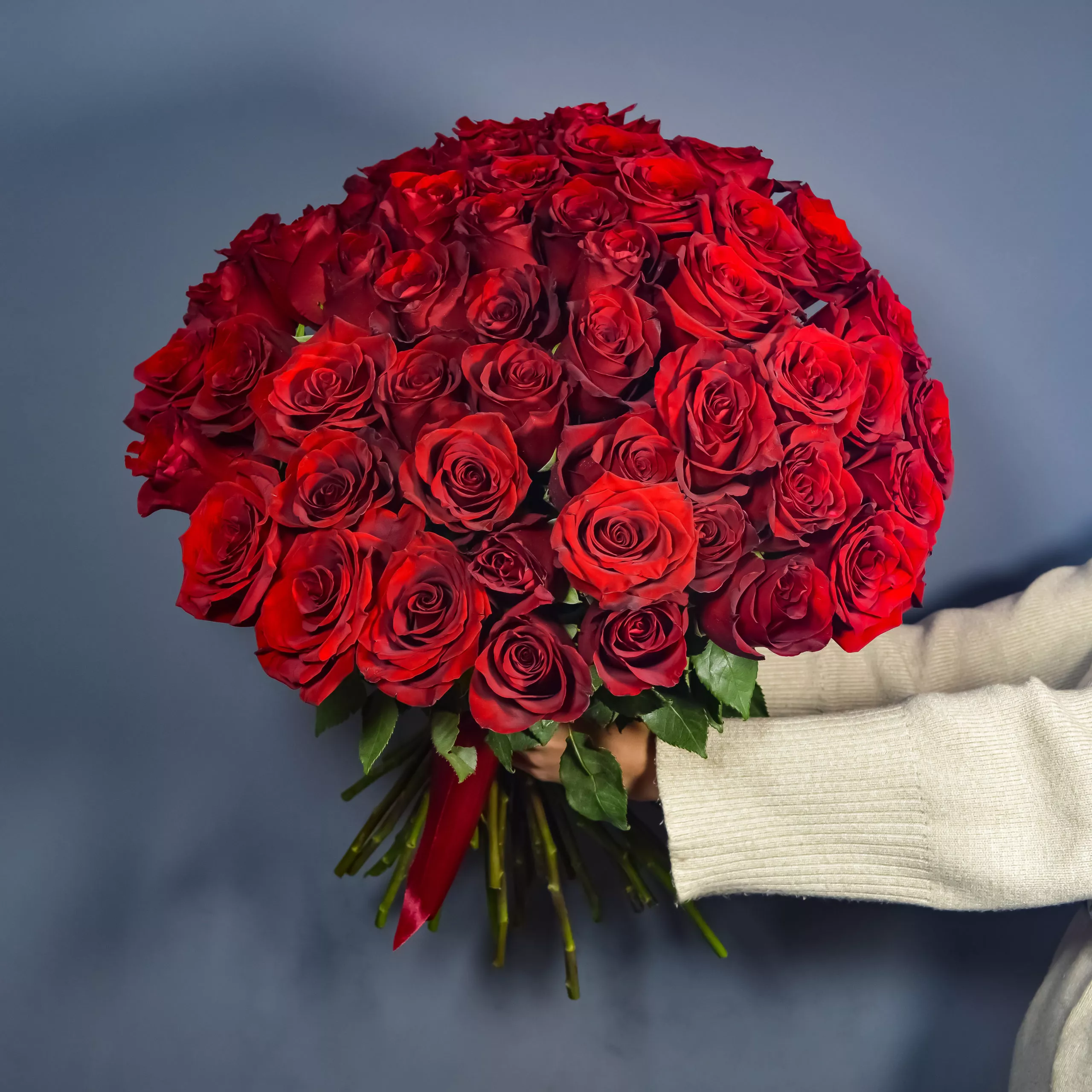 51 красная роза Эквадор