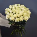 51 белая роза Эквадор Mondial