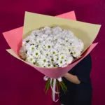 Букет из 25 ромашковидных хризантем в упаковке