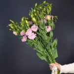 9 эустом