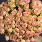 15 кустовых пионовидных роз