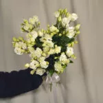 7 эустом